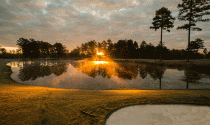 Golf Resort