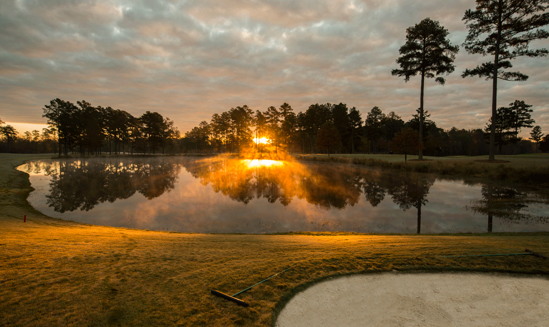Golf Resort